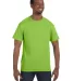 5250 Hanes Authentic Tagless T-shirt in Lime front view